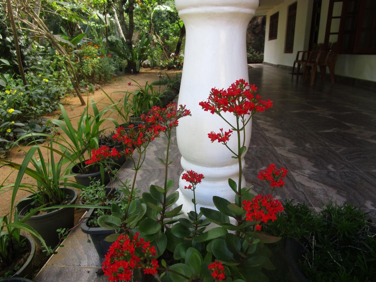 Maneesha Guest House Weligama Ngoại thất bức ảnh